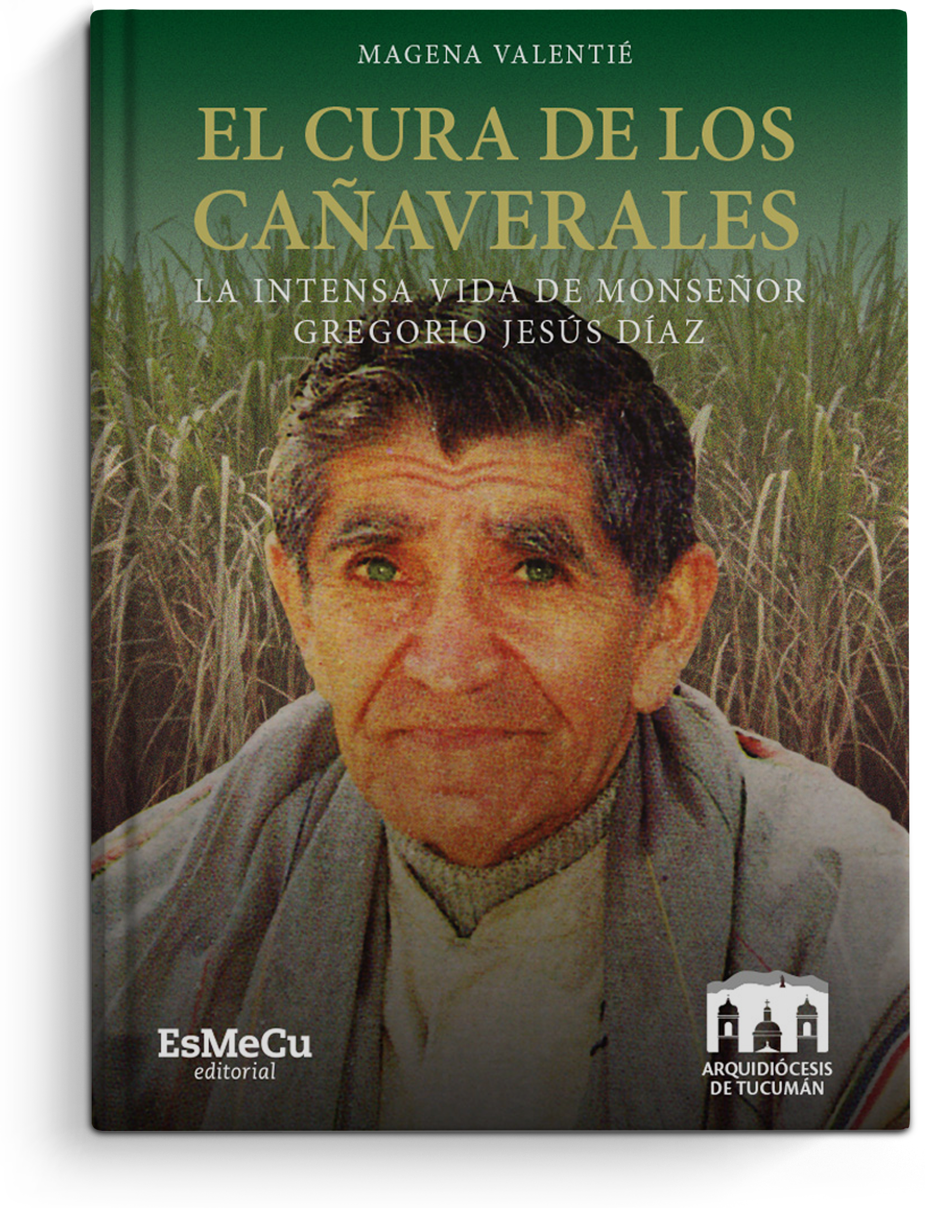 B-el cura de los cañaverales pagina libro
